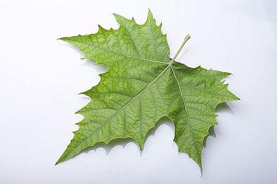 反重力竞速续作《红视2》公布 2022年登陆全平台